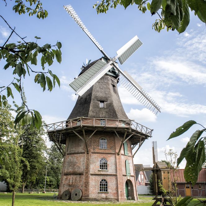 Blick auf die Gallerieholländer Windmühle. Im Hintergrund sieht man ein altes, kleines Fachwerkhaus mit einer gelben Tür.