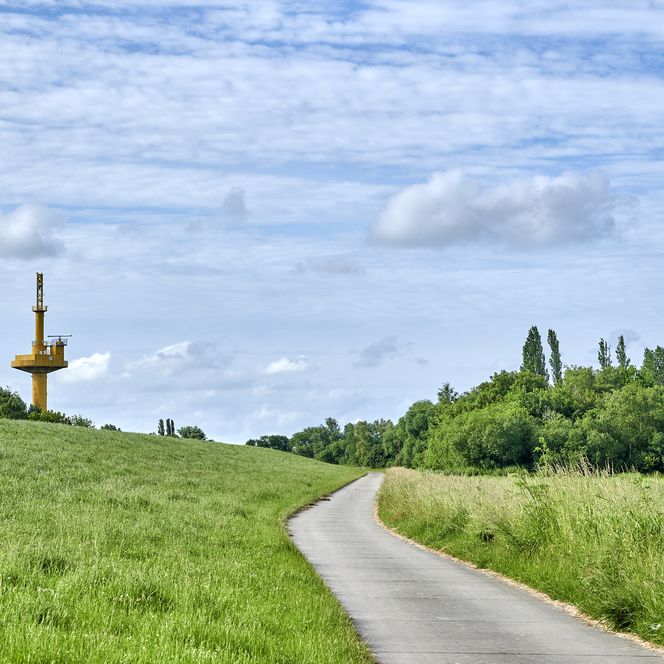 Ein asphaltierter Weg führt in Loxstedt durch eine grüne Landschaft hinter dem Deich entlang.