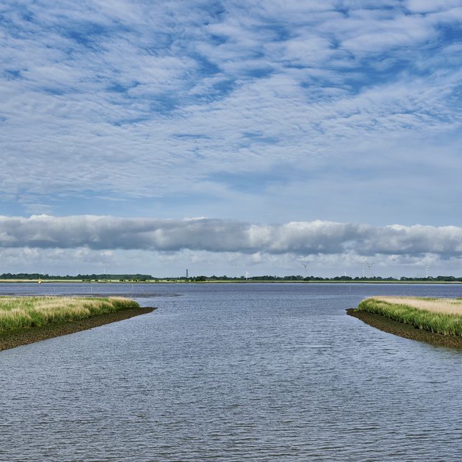 Blick auf das Wasser und die gegenüberliegende Uferseite.