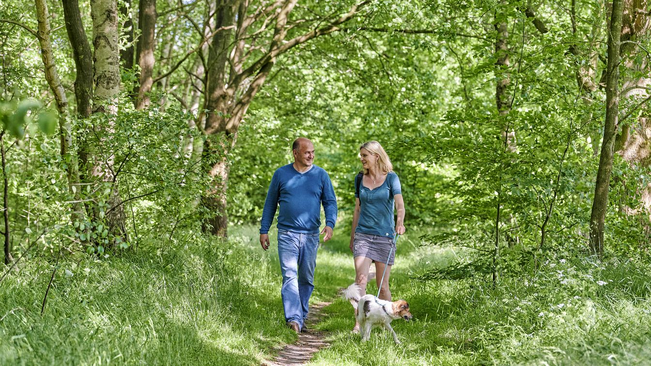 Ein Paar beim Spaziergang mit ihrem Hund an einem Sommertag im Großen Moor bei Beverstedt.