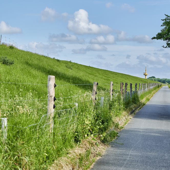 Ein asphaltierter Weg, der hinter dem Deich in Loxstedt entlangführt.
