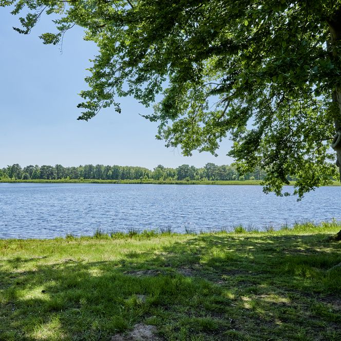 Wollingster See im Sonnenschein mit Blick auf das gegenüberliegende Ufer.