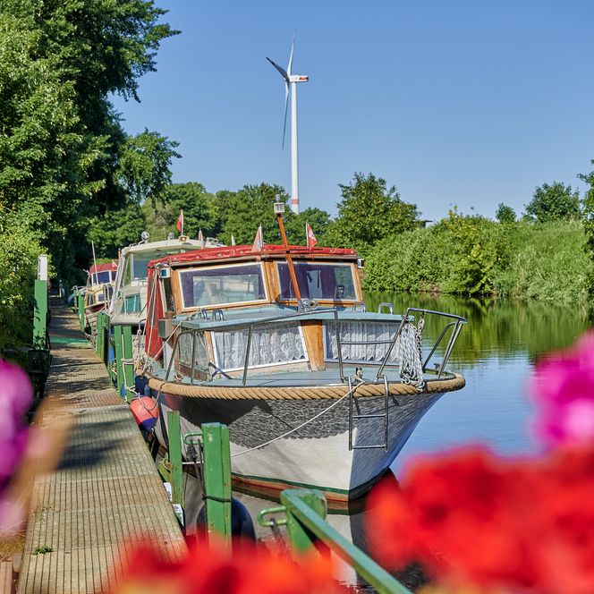 Anlegesteg mit drei alten Kuttern. Im Vordergrund sieht man Blumen. Im Hintergrund sieht man zwei Windkrafträder.