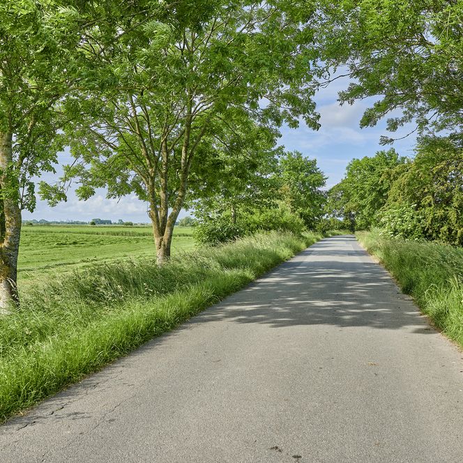 Ein asphaltierter Weg führt durch ein grünes Gebiet in Loxstedt hindurch. Er wird eingerahmt von Bäumen, Gräsern und Feldern auf beiden Seiten. 