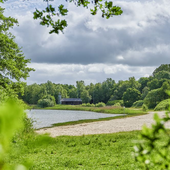 Der Blick führt durch grüne Büsche zu einer kleinen Strandfläche, die an den Stoteler See angrenzt.