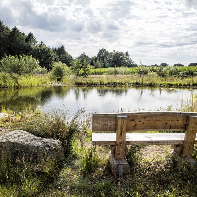 Im Vordergrund steht eine Holzbank mit Blick auf den See und die dahinterliegende Landschaft. Links neben der Bank befindet sich ein Stein.