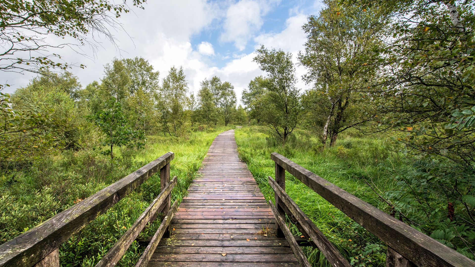 Ahlenmoorerlebnispfad Geestland